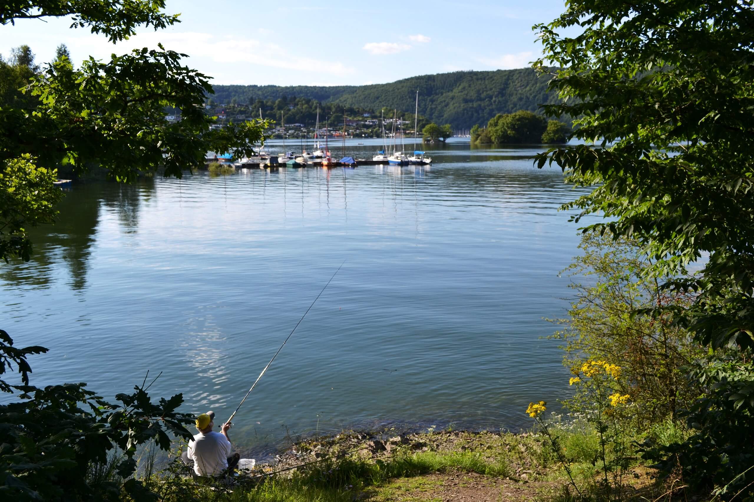 Ein Angler angelt im Sommer am Ufer des Edersees. Im Hintergrund ein Bootsanleger .