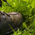 Brauner Wanderschuh in Großaufnahme steht auf grüner Wiese