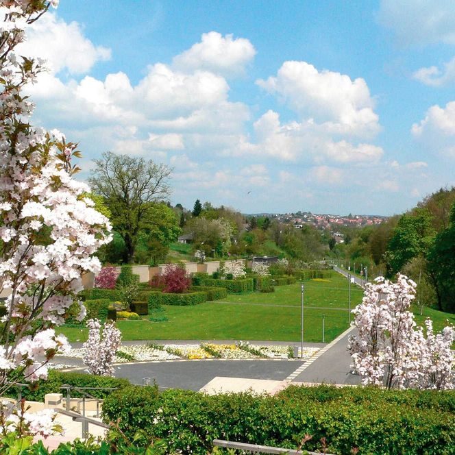 Blick auf die Sonnenterrasse im Kurpark Bad Wildungen mit blühenden Bäumen.die sich am westlichen Punkt von Europas größtem Kurpark befindet