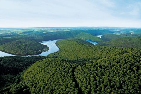 Luftaufnahme des des Buchenmeeres im Nationalpark Kellerwald-Edersee