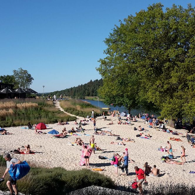 Der gut besuchte Sandstrand unter blauem Himmel. Im Hintergrund ein großer, grüner Baum und der Twistesee.