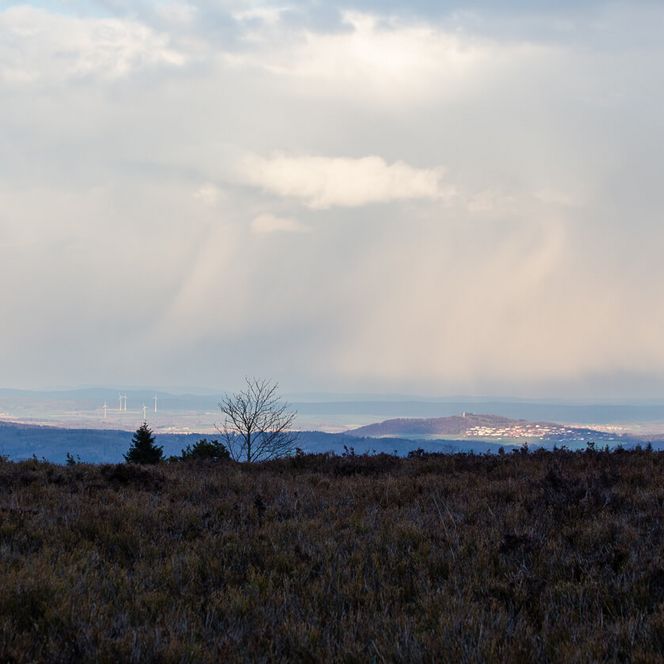 Der Gipfel Kahle Pön bietet eine wunderbaren Blick in die umgebende Landschaft von NRW und Hessen
