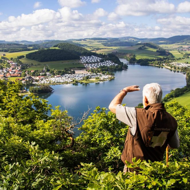 Ein sommerliches Panoramabild des Diemelsees auf dem ein Wanderführer zu sehen ist, der auf den Diemelsee blickt.