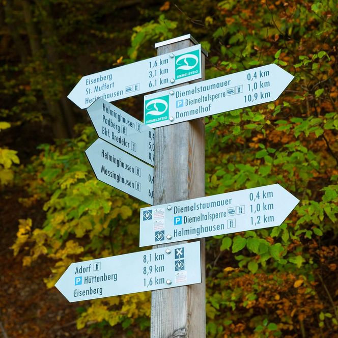 Ein Schilderbaum mit verschiedenen Hinweisschildern auf Orte in der Region Diemelsee
