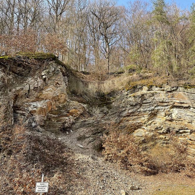 Eine Gesteinsbildung, die aussieht wie eine Welle, im Geopark Grenzwelten in Bergfreiheit.