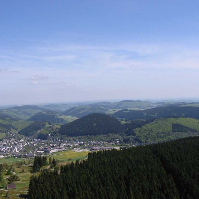 Blick vom Hochheideturm auf den Ort Willingen, eingebettet in die grüne, hügelige Landschaft unter blauem Himmel.