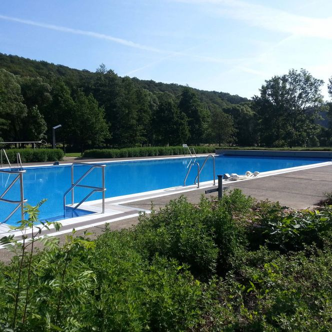 Das Schwimmbecken des Freibades Rengershausen im Sommer. Im Vordergrund grüne Büsche.