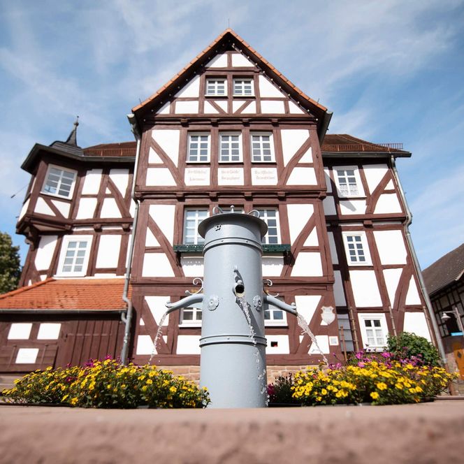 Im Vordergrund ein Brunnen mit gelben Blumen bepflanzt, im Hintergrund ein mittelalterliches Fachwerkhaus unter blauem Himmel.