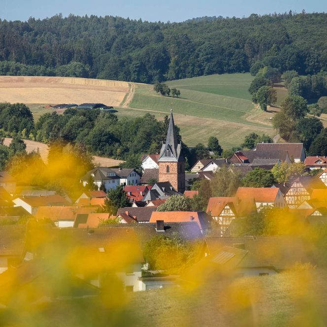 Die sommerliche Ortsansicht von Rosenthal. In der Mitte ragt der Kirchturm heraus. Im Vordergrund verschwommene, gelbe Blumen.