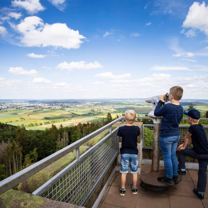 Drei Kinder stehe auf einem Turm und schauen durch ein Fernglas in die weitläufige Landschaft.