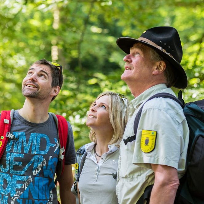 Ein Ranger zeigt zwei Wanderern den Nationalpark
