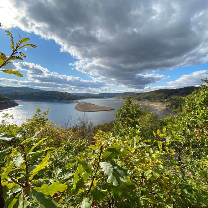 Eine Panoramaaufnahme vom Edersee unter blauem Himmel mit Wolken. Im Vordergrund grüne Büsche.