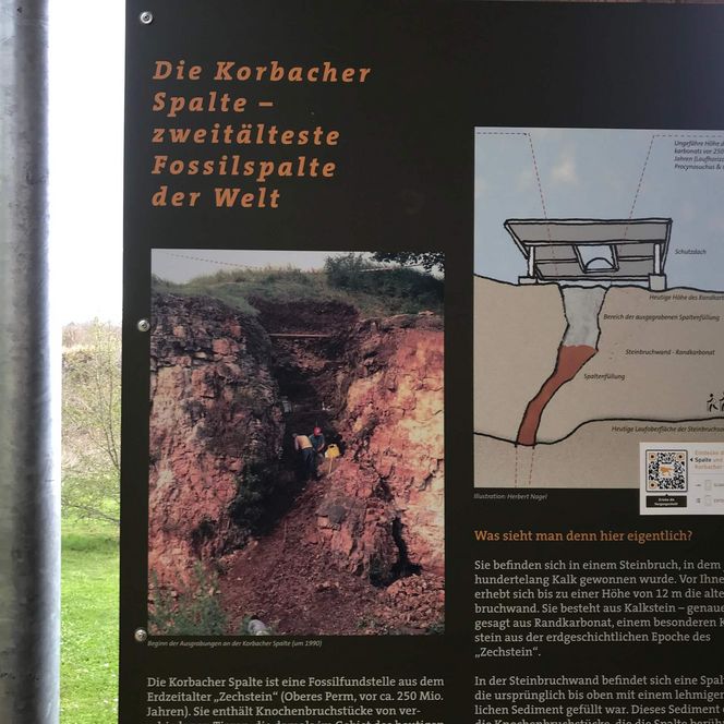 Infotafel an der Korbacher Spalte zeigt ein Foto der Ausgrabungen um 1990 und eine Grafik des Aufbaus der Korbacher Spalte.
