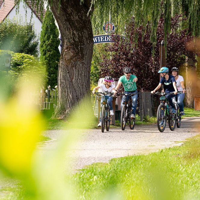 Eine Gruppe Radfahrer fährt auf dem Diemelradweg in Marsberg