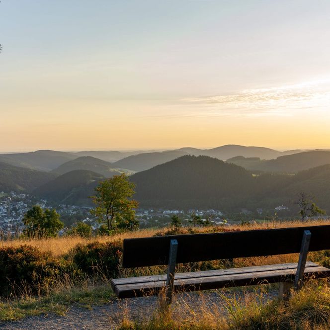 Blick von einem Aussichtspunkt mit einer Bank auf Willingen 
