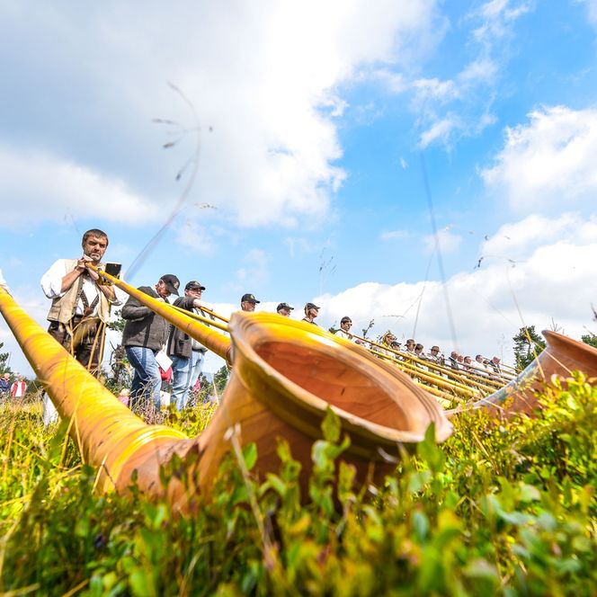 Alphornbläser in traditioneller Kleidung beim Auftritt auf der Alphornmesse in Willingen.