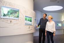 Die Ausstellung im NationalparkZentrum Kellerwald erklärt auf anschauliche Art und Weise die Besonderheiten des Nationalparks Kellerwald-Edersee