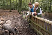 WildtierPark Edersee