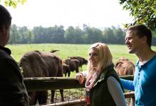 WildtierPark Edersee