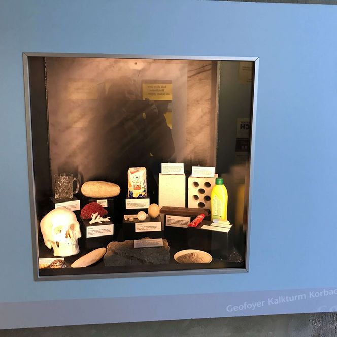 Ausstellungsgegenstände im Geofoyer Kalkturm