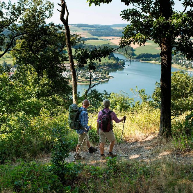 Zwei Wanderer stehen im Vordergrund auf dem Wanderweg, umgeben von grünen Bäumen und schauen auf den Diemelsee hinunter.