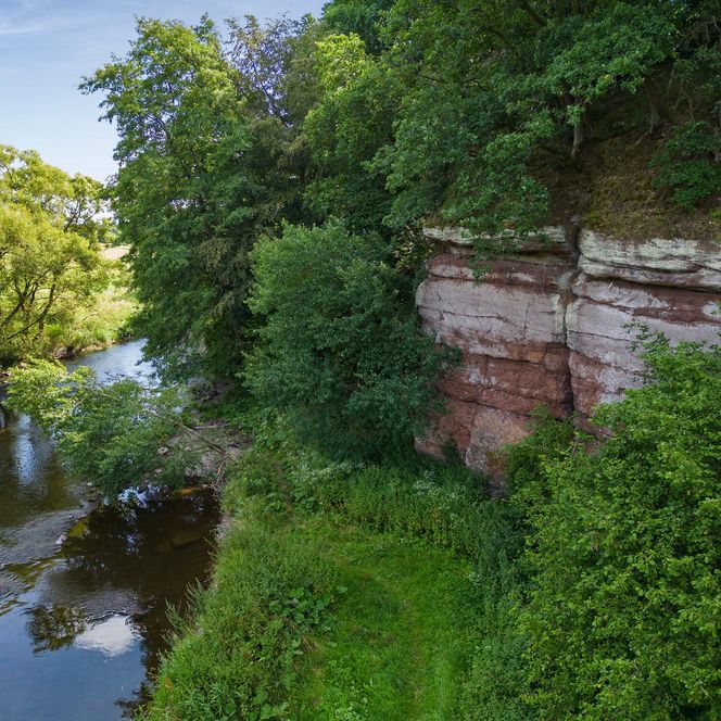 Links im Bild der Fluss im Hintergrund grüne Landschaft. Im rechten Vordergrund die Felsen aus Buntsandstein umrahmt von grünen Bäumen und Büschen.