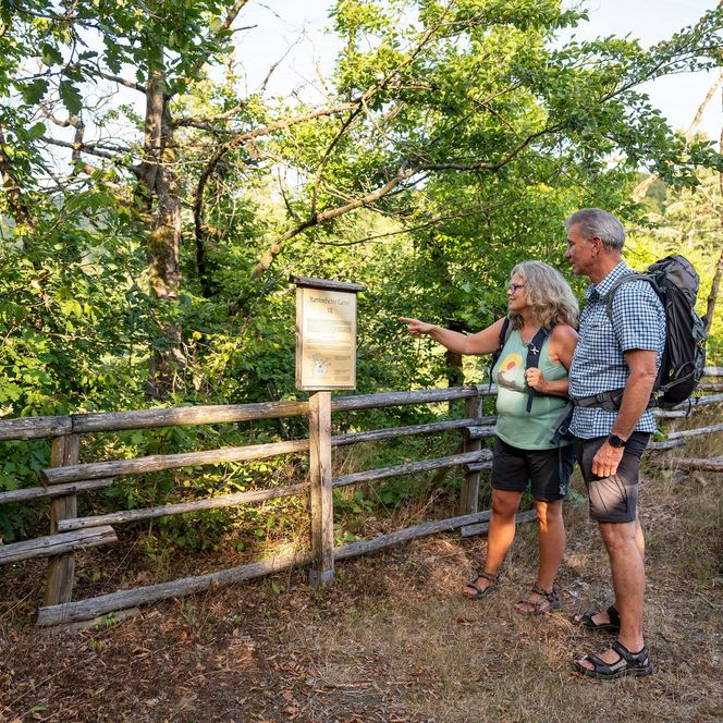 Ein Pärchen in Wanderkleidung steht vor einem Schild, das auf die Stanfordschen Gärten hinweist