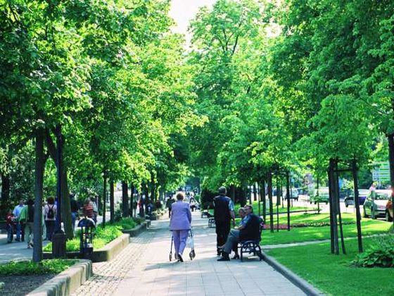 Die Brunnenallee im Kurviertel von Bad Wildungen - sie ist die längste Straße des Ortes und verbindet den Kurpark mit der Altstadt