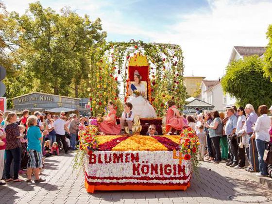 Einer der Wagen beim Bad Wildunger Blumenkorso