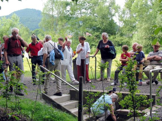 Wandergruppe in Edertal-Kleinern