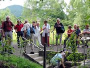 Wandergruppe in Edertal-Kleinern