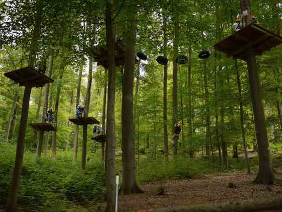 Auch der Kletterpark am Edersee liegt in der Gemeinde Edertal
