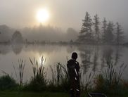 Großforellen beim Fischzuchtbetrieb Wagner