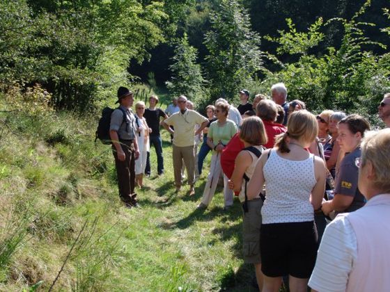 Frankenau Nationalpark Heideblütenfest