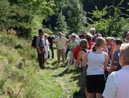 Frankenau Nationalpark Heideblütenfest