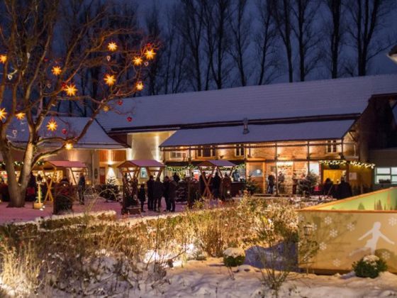 Weihnachten an der Walkemühle in Frankenberg