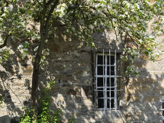 Fenster vom Kloster Flechtdorf