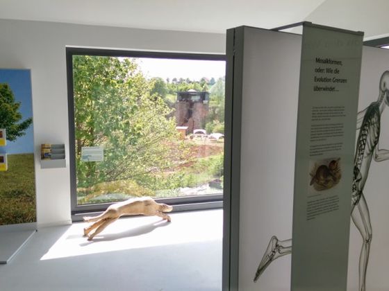 Die Ausstellung im Kalkturm mit Blick auf die Korbacher Spalte 
