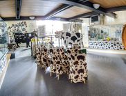 Der Ausstellungsraum des Upländer Milchmuhseums in Willingen-Usseln