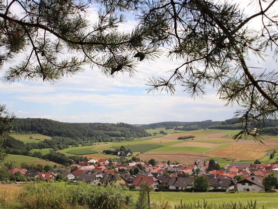 In Altenlotheim findet das Heideblütenfest in diesem Jahr bereits zum 19. Mal statt – am Bürgerhaus in der Ortsmitte sowie in der Heide auf der Koppe (Foto: Nationalpark Kellerwald-Edersee)