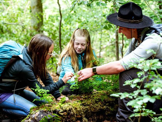 Das Ferienprogramm des Nationalparks Kellerwald-Edersee bietet einzigartige Naturerlebnisse. Für die Programme ist eine telefonische Anmeldung bis zwei Werktage vor der jeweiligen Veranstaltung möglich (Foto: Fotoatelier Wolf, freiheitswerke)
