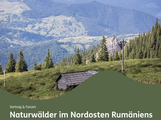 Ausschnitt Plakat Nationalpark Kellerwald-Edersee