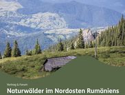 Ausschnitt Plakat Nationalpark Kellerwald-Edersee