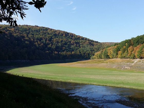 Ausblick Nähe Banfeeck: Herrliche Ausblicke auf den Flusslauf der Eder sowie auf die herbstlich verfärbten Wälder des Natur- und Nationalparks Kellerwald- Edersee (Foto: Ulrika Zeunert)