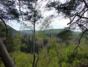 Frühlingshafter Ausblick auf die bewaldeten Berge und Täler des Nationalparks mit seiner werdenden Wildnis (Foto: Nationalparkamt Kellerwald-Edersee) 