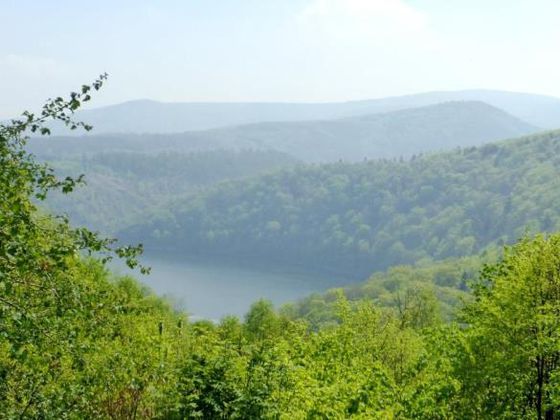 Ausblick vom Ringelsberg auf das Weltnaturerbe (Foto: Rita Wilhelmi)