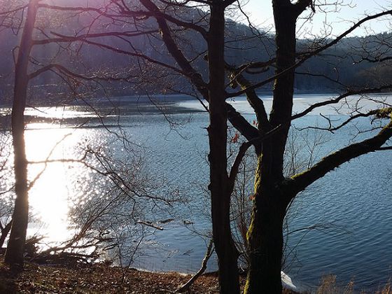Bachlebensräume: Der Nationalpark Kellerwald-Edersee ist geprägt von über tausend reinsten Quellen, sprudelnden Bächen und kleinen Wasserläufen. Wer lauscht, hört es sprudeln, gluckern und plätschern – eine Wassersinfonie des Orchesters der Natur (Foto: U