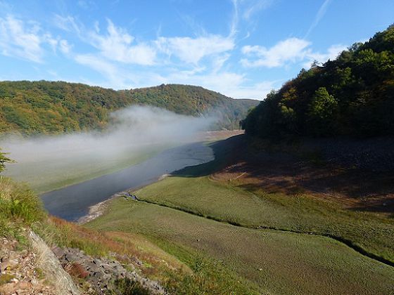 Die Wanderung „Bäume können sich nicht begegnen – aber Menschen“ besticht durch den Ausblick auf das herbstliche Buchenmeer und die Banfebucht mit dem zum Fluss gewordenen Edersee im Tal (Foto: Rita Wilhelmi)