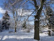 Winteridylle: Die schneebedeckten Bäume am Fahrentriesch im Nationalpark verzaubern die Wanderer und versetzen sie in Winterstimmung (Foto: Rita Wilhelmi)