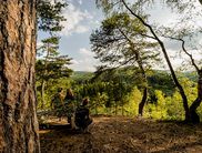 Tolle Aussicht: Vom Christianseck aus eröffnet sich ein weiter Blick über das Reich der urigen Buchen und die Kuppen des Nationalparks (Foto: Thorben Mehrhoff)